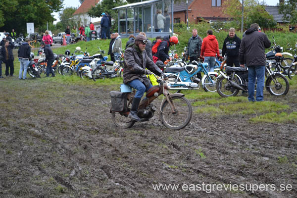 Bild 163
