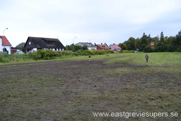 Bild 267